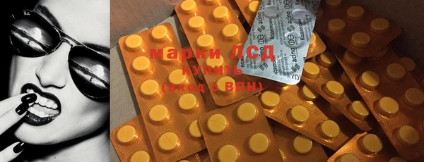 PSILOCYBIN Инта