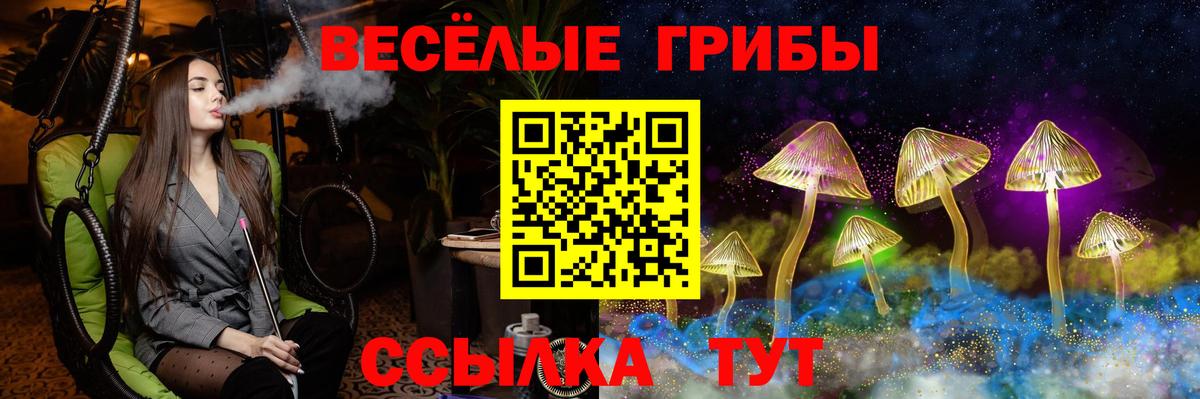Псилоцибиновые грибы ЛСД Североморск