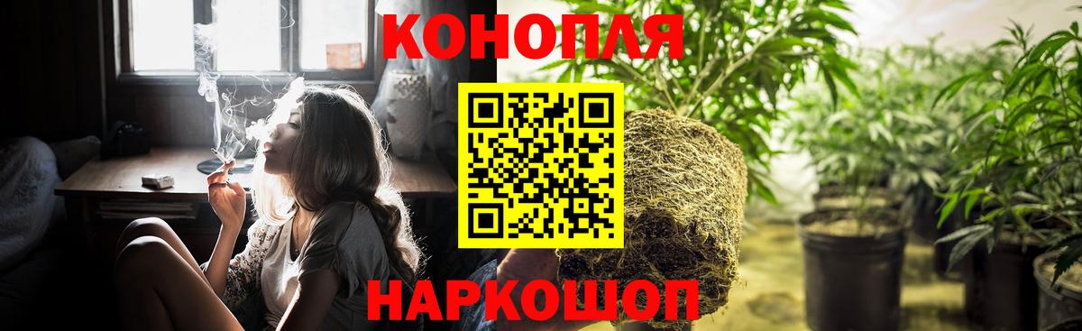 Бошки Шишки тримм Североморск
